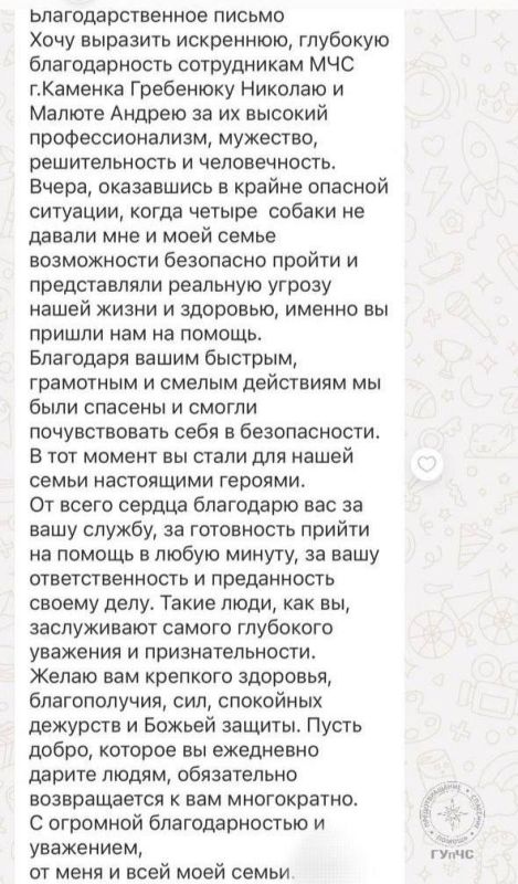 Благодарность спасателям. В Каменке поздним вечером 2 июля на улице Первомайской несколько агрессивных собак не давали пройти женщине, которая была с ребёнком и матерью