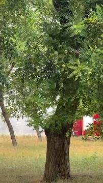 �������� ������� �������� � ����