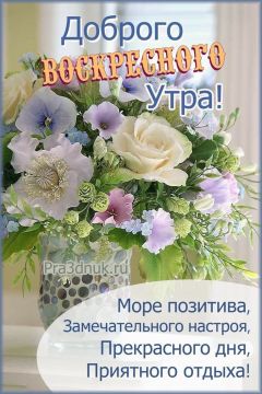5 ���� - ����������� - ����� ��� ����: ����� ���� ��� ��������