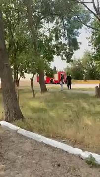 ������ ����� ����. � �������� (���������� "���������") �������� ���������� ������ ��������� ����