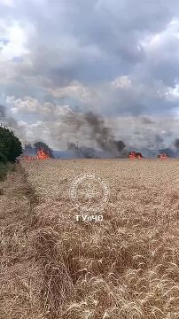 На окраине Бендер горит поле с пшеницей