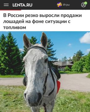 �� ������ ����� ������� ������� ������� �� ���� �������� � ��������: ������������� �������� ������� ������������� �������