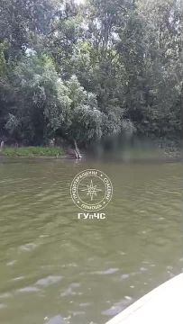��������� ����� ���� 18-������� �����, ������� ������ � ������� � ����������� � ������ � ���������
