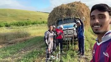 В Молдавских полях рядом с советским ЗИЛом обнаружили азиатских мигрантов с вилами