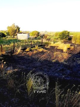 Штраф: сжигал траву. Житель села Глиное Слободзейского района сжигал сухую траву у себя на участке