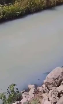 ������ ������ ������� ���� ������� ����� ����� �� �����������