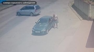 ����������� �����������.