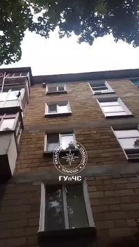 В Бендерах спасли котёнка. Малыш хотел взобраться в скворечник у окна на пятом этаже, но сорвался и зацепился за бельевые верёвки этажом ниже