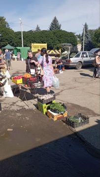 Первая в этом сезоне ярмарка выходного дня открылась в микрорайоне Шёлковый