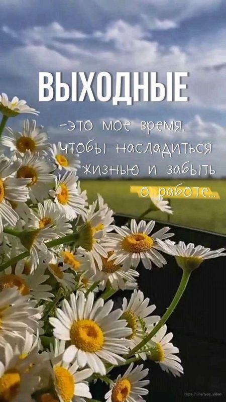 12 июля – воскресенье – это маленькая жизнь, которую стоит ценить