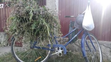 � ������� 18-������ �������� ���� 72-������� �������������