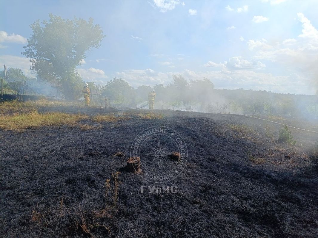 В Рыбницком районе выгорело 4,5 гектара сухой травы В Рыбницком районе выгорело 4,5 гектара сухой травы