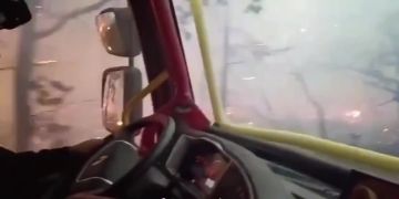 #МировыеНовости – Во Франции продолжается борьба с крупным лесным пожаром – видео из эпицентра