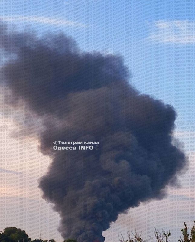 В Минобороны сообщили о целях ночного налёта в Одесской области:
