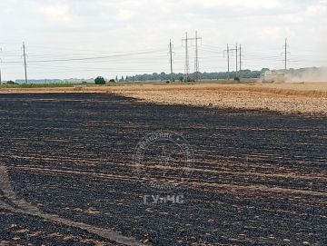 50 гектаров пшеницы выгорели в Незавертайловке