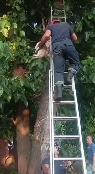 ��� ������� ���� ��������� ��������� 15 ���� ����� ������ � ������