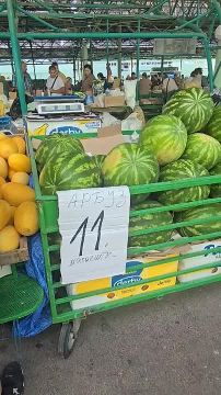 Самые дешёвые арбузы на рынке сегодня отдавали по 11 рублей за кило, это из Малаешт