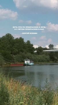 Фрагменты лета