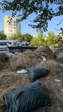«Большой тартарарам» может грозить жильцам одного из дворов Балки