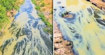 Жители Кишинёва в соцсетях бьют тревогу из-за помутневшей воды в реке Бык