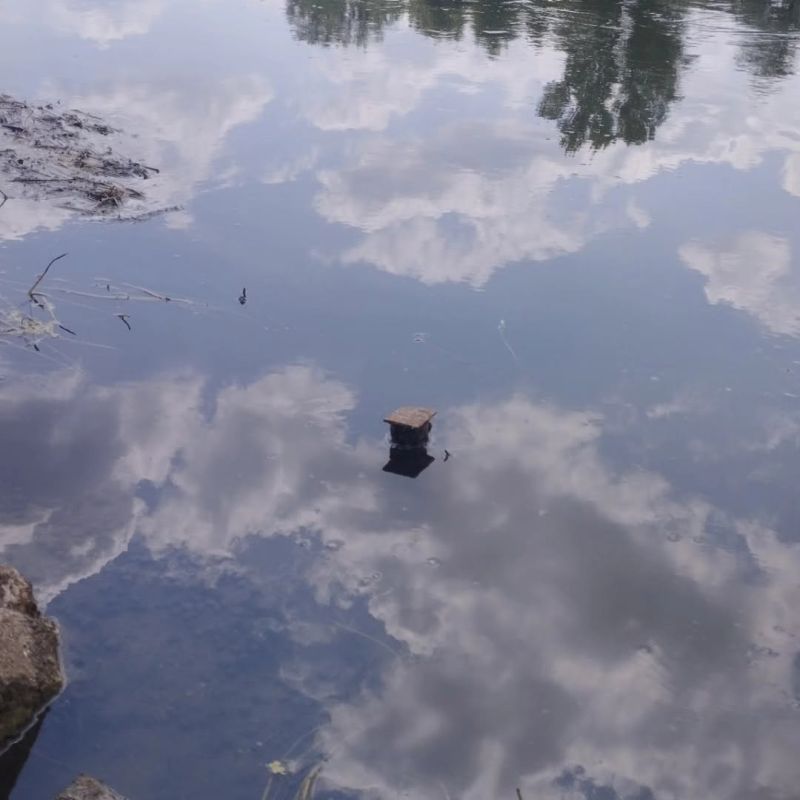 На Днестре сохраняется критически низкий уровень воды На Днестре сохраняется критически низкий уровень воды