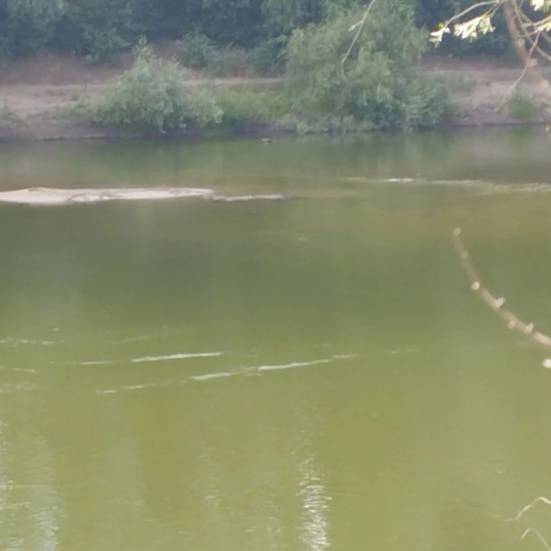 На Днестре сохраняется критически низкий уровень воды На Днестре сохраняется критически низкий уровень воды