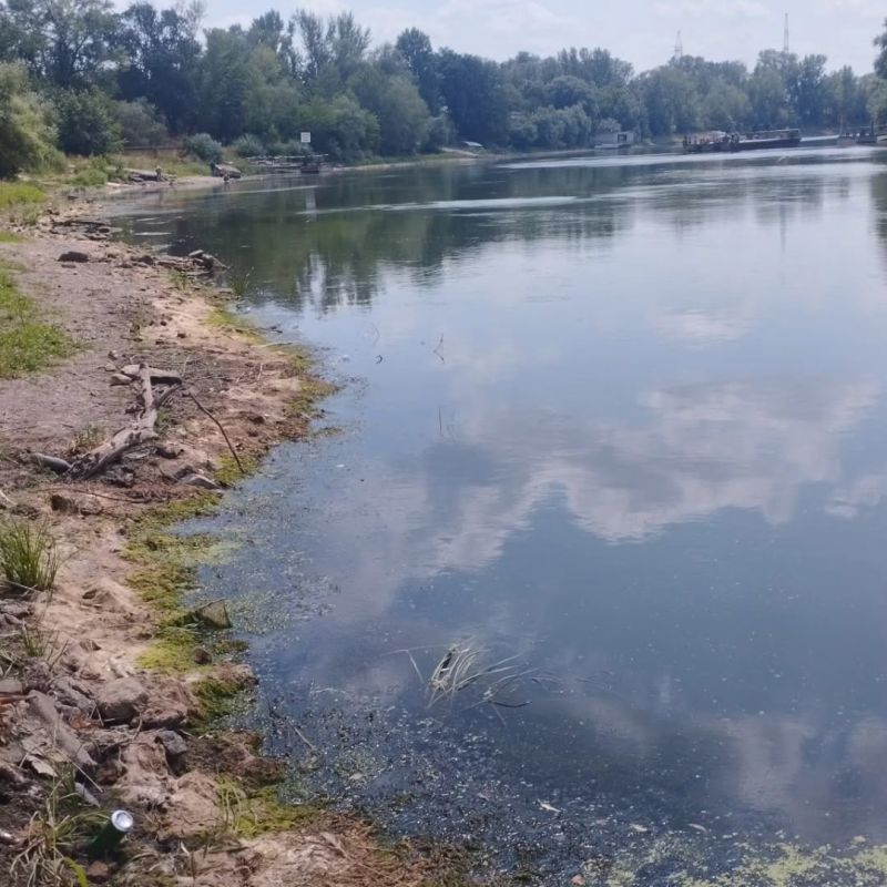 На Днестре сохраняется критически низкий уровень воды На Днестре сохраняется критически низкий уровень воды