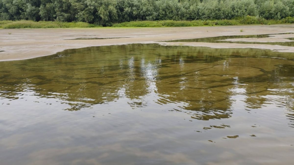Таким Днестр ещё не видели Таким Днестр ещё не видели