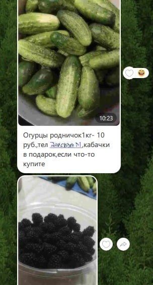 Маркетологи в Терновке придумали выгодное предложение: дарят кабачки тем, кто купит огурцы или ежевику