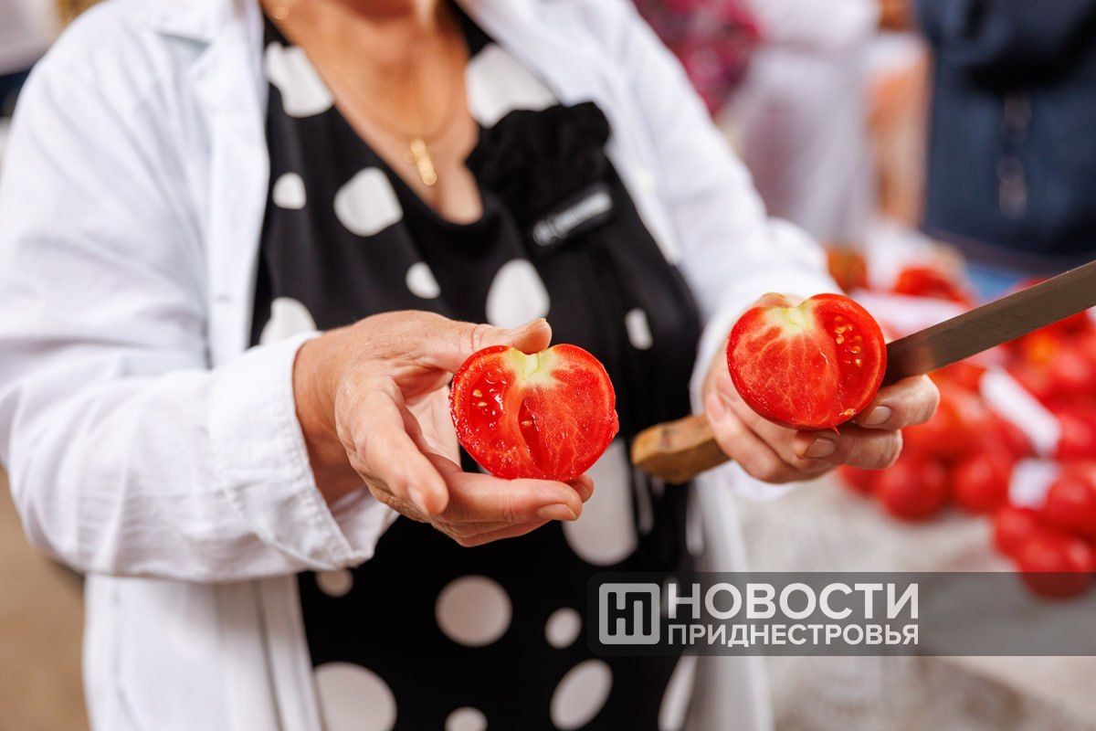 «Черничный коктейль», «Розовый туман», итальянская «Порпора», китайские коричневые помидоры и томаты биколор — приднестровские селекционеры создают гибриды и проверяют новые сорта в теплицах «Черничный коктейль», «Розовый туман», итальянская «Порпора», китайские коричневые помидоры и томаты биколор — приднестровские селекционеры создают гибриды и проверяют новые сорта в теплицах