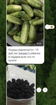����������� � �������� ��������� �������� �����������: ����� ������� ���, ��� ����� ������ ��� �������