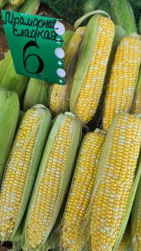 Кукурузу отдают по 6-7 рублей, продавцы пока не торопятся сбивать ценник