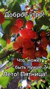 24 июля - нет ничего лучше, чем осознание того, что завтра суббота