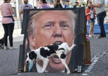 ����� ������, ��� �� ������ ������ �������