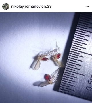��������������� ������ ������� ��������� ������� � ���� � ���������� ����� ������� �������: ������� ��� � ���!