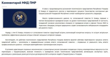 Вице-премьер Молдовы Валерий Киверь перешёл к тактике блокирование встреч на уровне политпредставителей – МИД ПМР