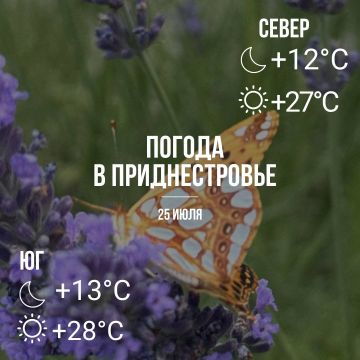 Днём – до +28°С, местами дождь