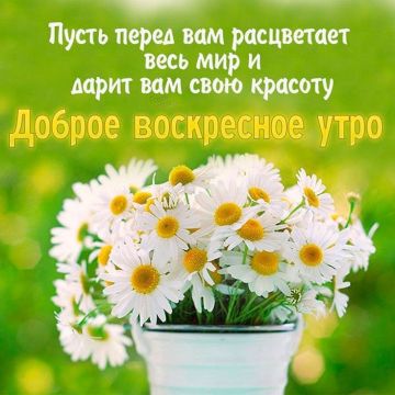 26 ���� - ���� ������ ����-��, ����� ������