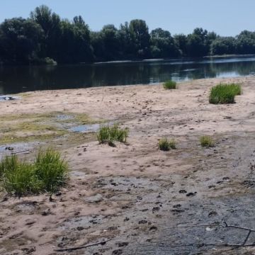 Маловодность Днестра продолжается — новых рекордов не исключают