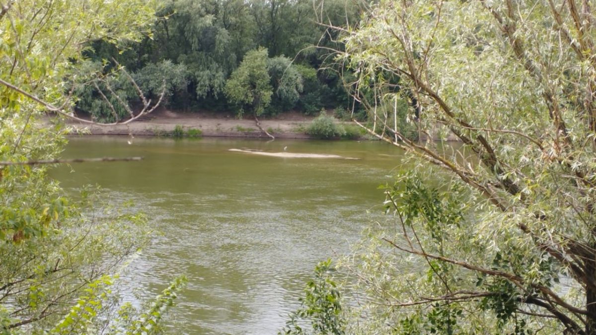 Главный метеоролог Приднестровья: «Тенденция к понижению уровня воды в реке Днестр сохранится» Главный метеоролог Приднестровья: «Тенденция к понижению уровня воды в реке Днестр сохранится»