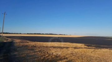 В селе Ивановка (Рыбницкий район) сгорели 100 гектаров сухостоя