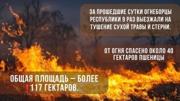 За сутки в Приднестровье выгорело больше 117 гектаров сухой травы