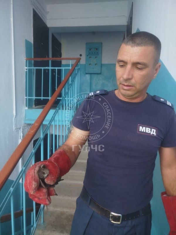 Сотрудники ГУпЧС выполнили просьбу пожилой женщины