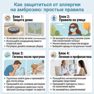 Осторожно, амброзия!. С середины июля и до октября в Приднестровье цветёт амброзия — один из самых сильных аллергенов