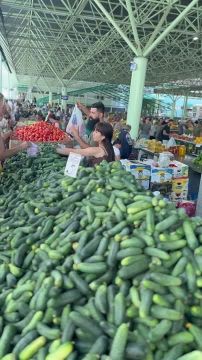 Огурцы и помидоры пакетами разбирают на закатку