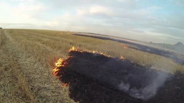 Из-за непотушенного окурка сгорели 6 гектаров стерни у села Гершуновка (Рыбницкий район)