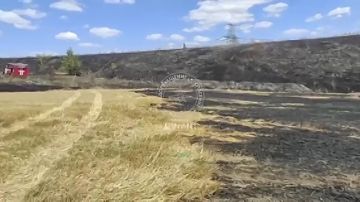 Сухая трава вчера горела у железной дороги в Первомайске из-за непотушенной сигареты