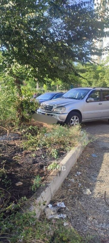 Вроде горит трава, а через несколько минут могли загореться машины Вроде горит трава, а через несколько минут могли загореться машины