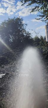 Вроде горит трава, а через несколько минут могли загореться машины