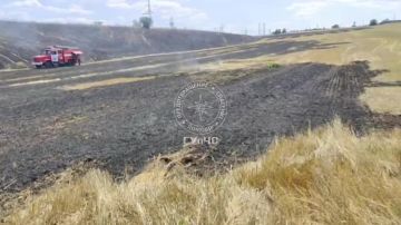 Крупное возгорание сухой травы тушили вчера в Первомайске